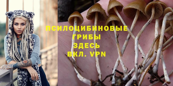 хмурый Абинск