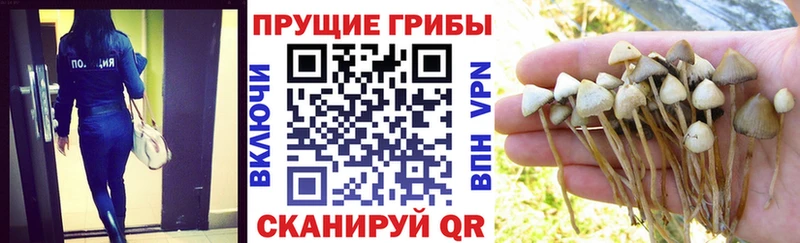 Псилоцибиновые грибы мухоморы  цены   Юрга 